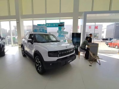 補(bǔ)貼“疊疊樂”，開發(fā)區(qū)新能源汽車銷售火熱