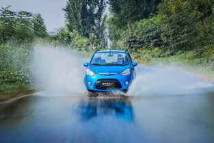 19年新能源汽車(chē)銷(xiāo)量盤(pán)點(diǎn) 微型車(chē)市場(chǎng)格局生變，奇瑞小螞蟻跌出前五